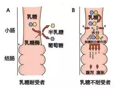 春雨医生