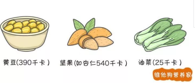 春雨医生
