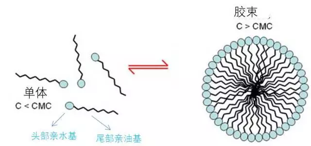 疏水基团图片