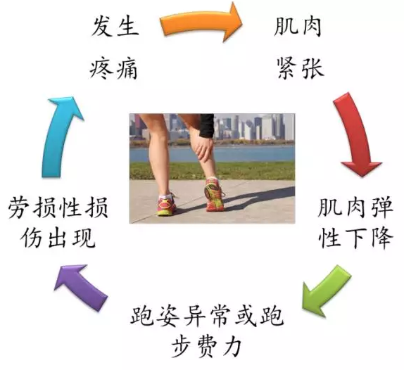 春雨医生 春雨医生