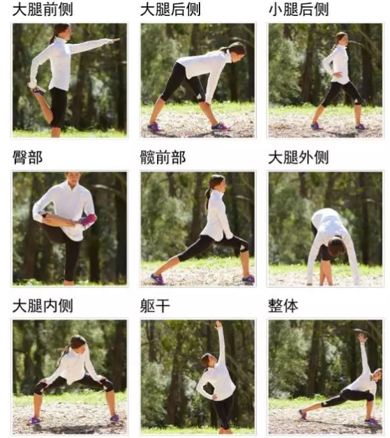 春雨医生 春雨医生