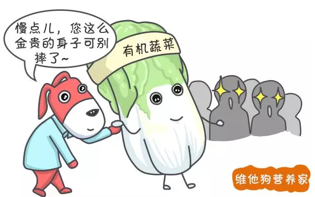 春雨医生