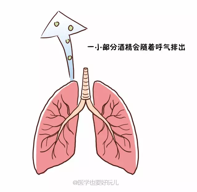 春雨医生
