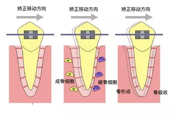 春雨医生 春雨医生