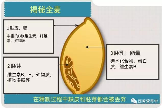 都说全麦的食物好,可是全麦到底“全”在哪?-春雨医生