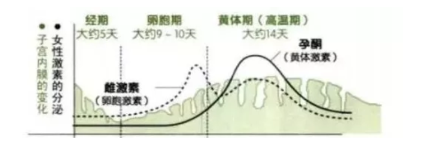 春雨医生