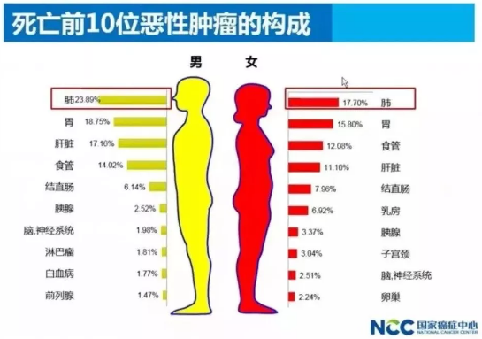 春雨医生