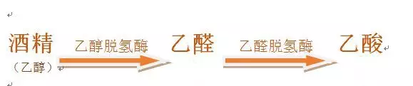 春雨医生