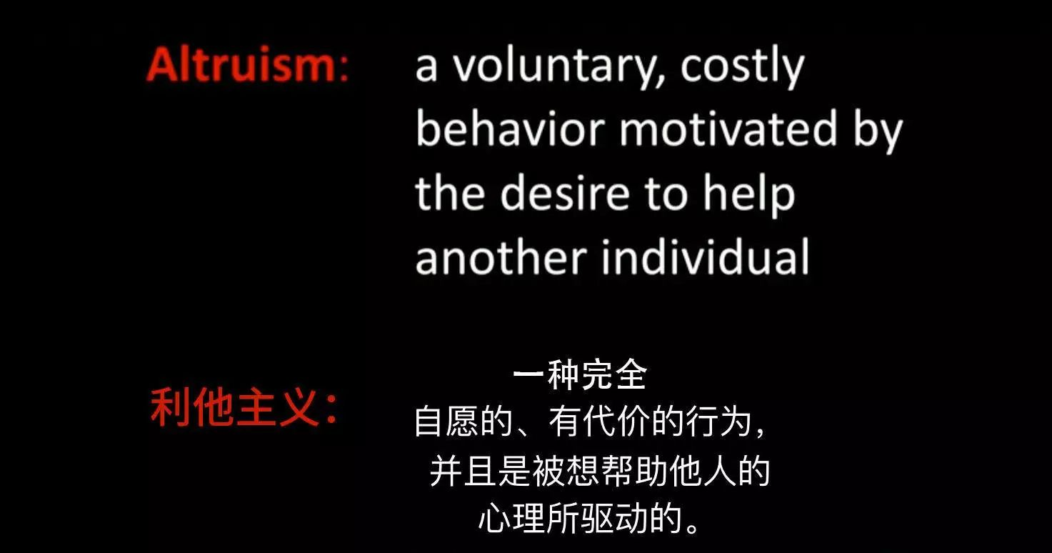 春雨医生 春雨医生