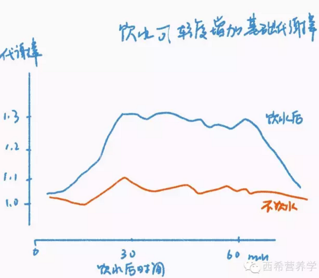 春雨医生