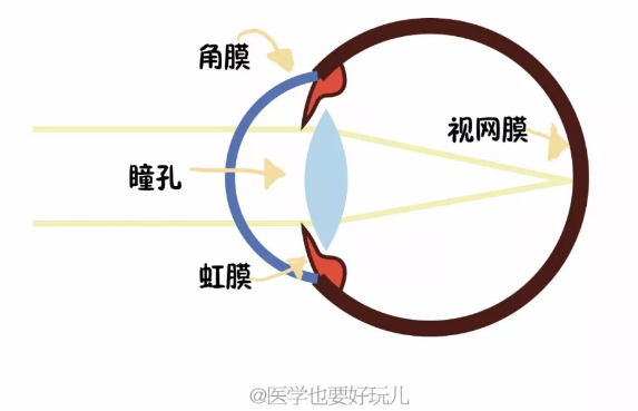 春雨医生