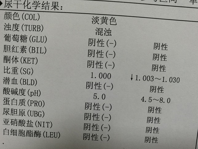 尿液化验单图片