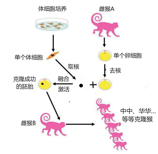 春雨医生