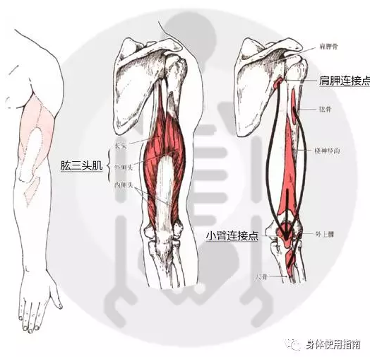 春雨医生