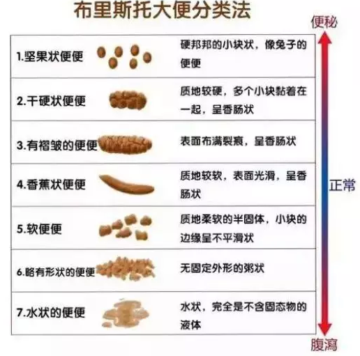 春雨医生