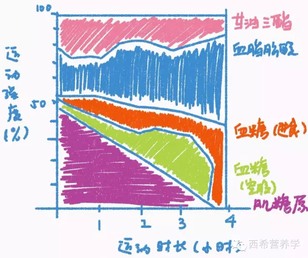 春雨醫(yī)生