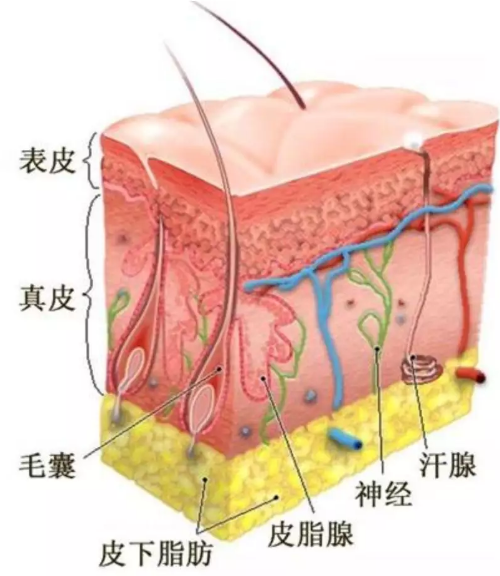 春雨医生