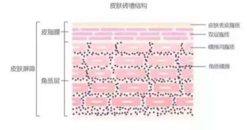 春雨医生