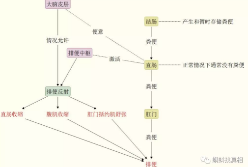 春雨医生