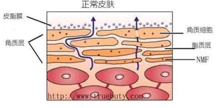 春雨医生