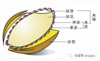 春雨医生