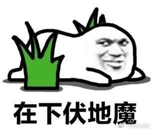 春雨医生