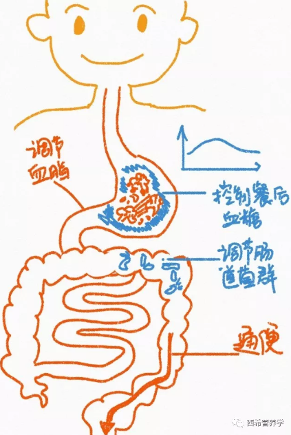 春雨医生