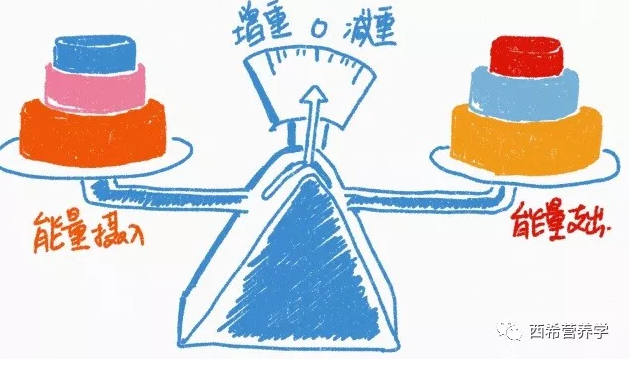 春雨醫(yī)生