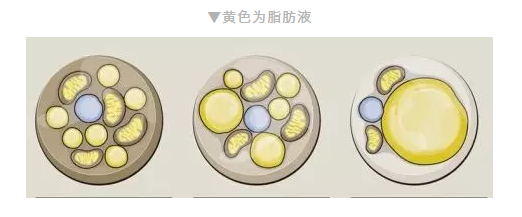 春雨医生