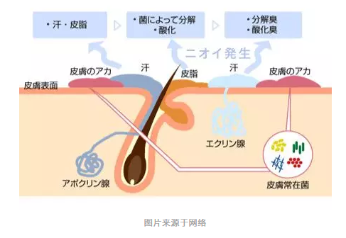 春雨醫(yī)生