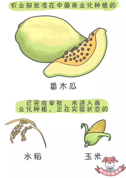 春雨医生