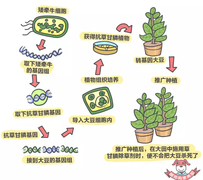 春雨医生