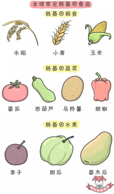 春雨医生