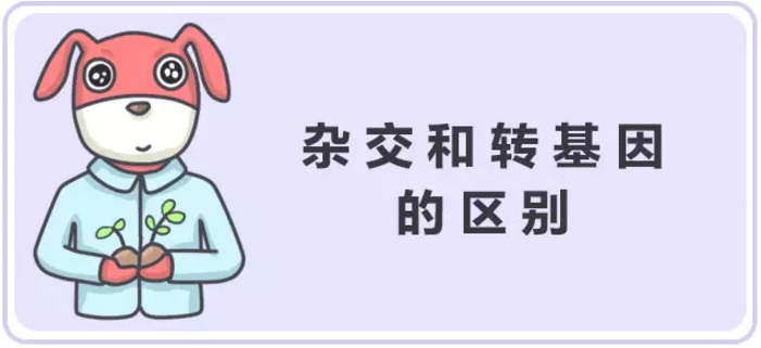 春雨医生