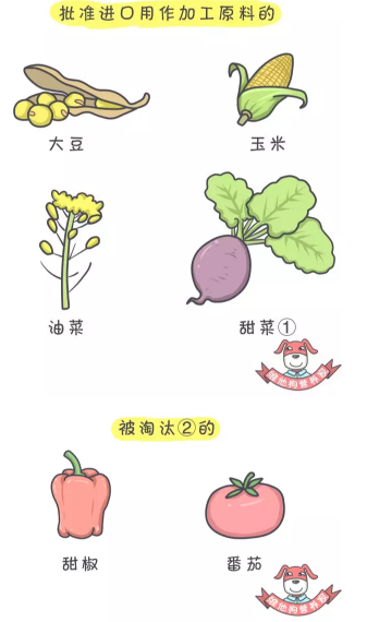 春雨医生