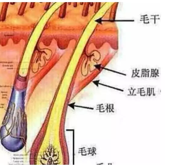 春雨医生