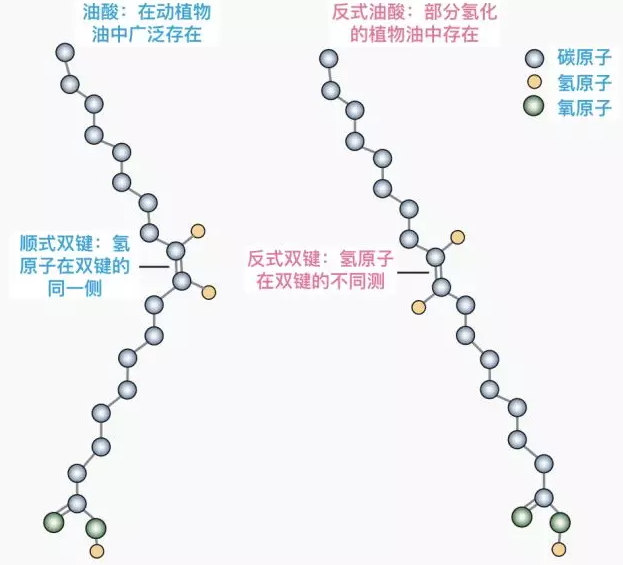 春雨医生