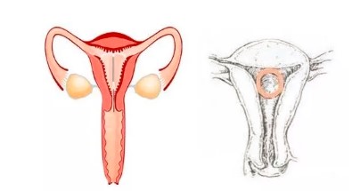 春雨医生 春雨医生