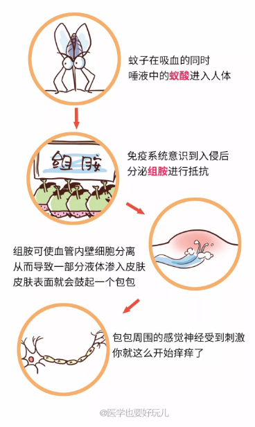春雨医生