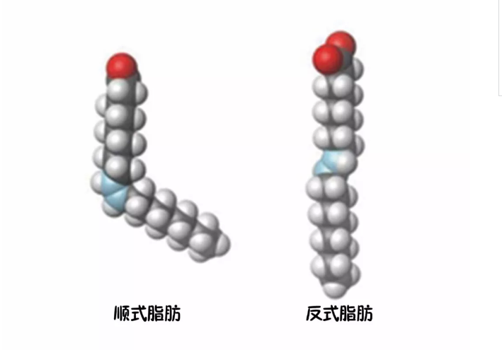 春雨医生
