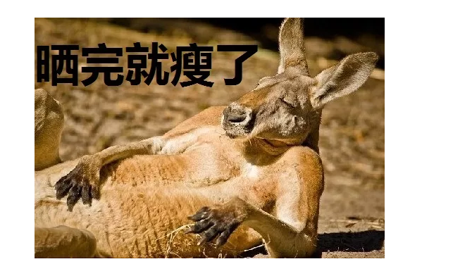 春雨医生