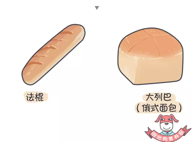 春雨医生