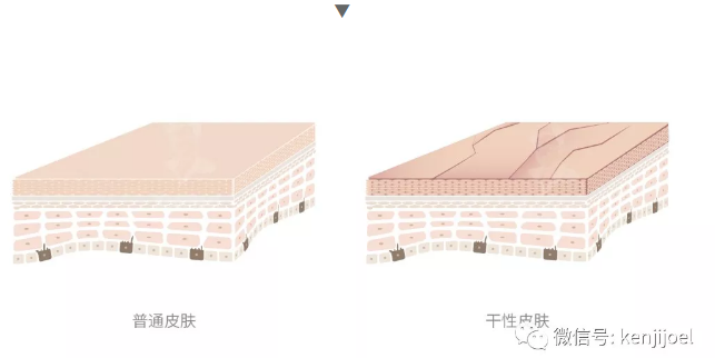 春雨医生