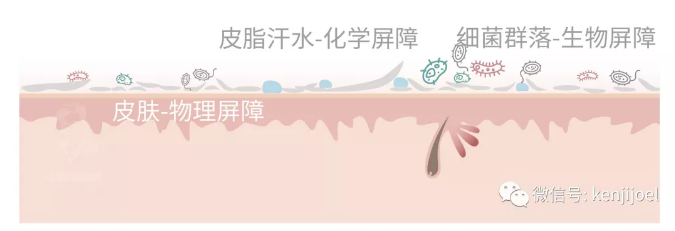 春雨医生