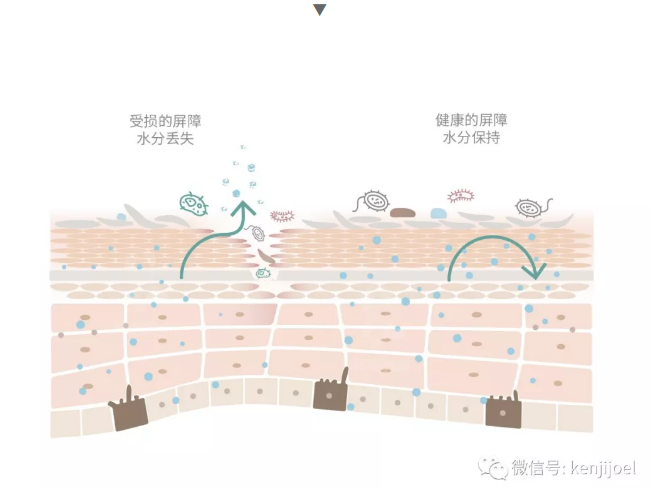 春雨医生