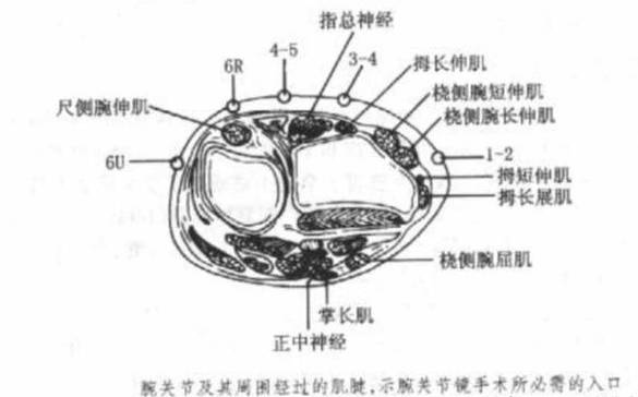 微信图片_20181128103509.jpg