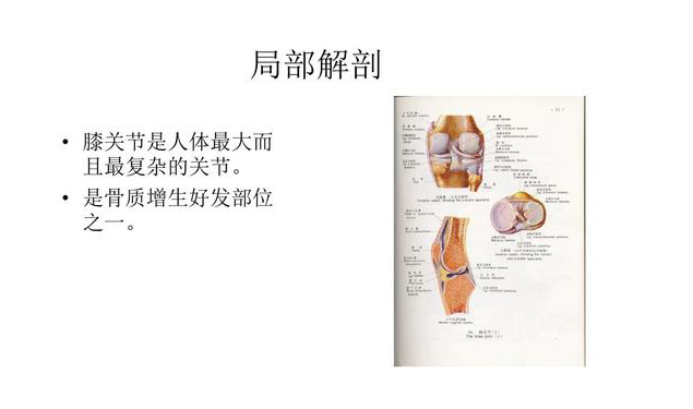 为什么膝产节拨针松解术小针刀松解臭氧治疗膝关节退行性骨关节效果好