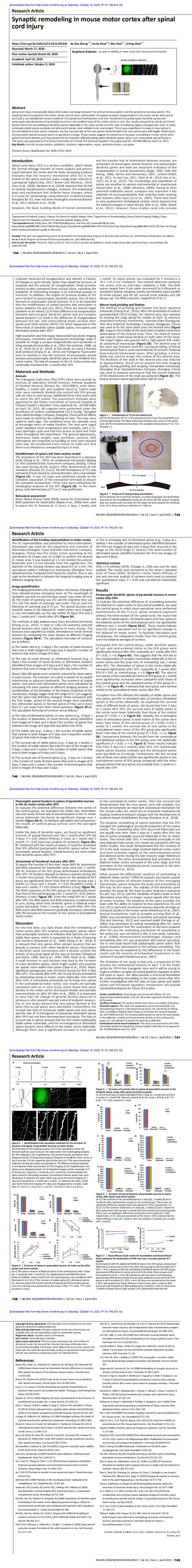 1--Synaptic remodeling in mouse motor cortex after spinal cord injury_0.jpg