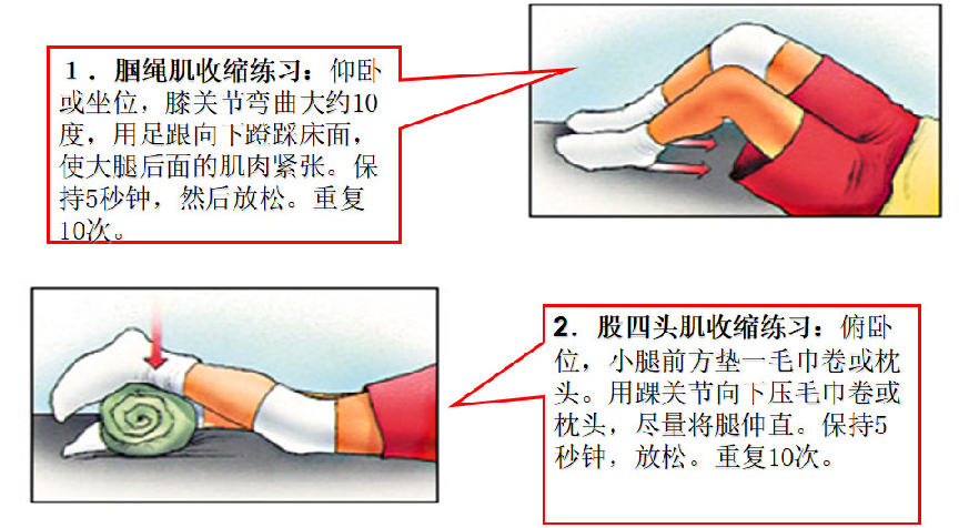 膝关节前交叉韧带损伤术后康复