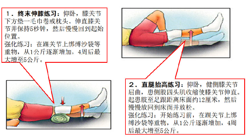 膝关节最佳锻炼方法图图片